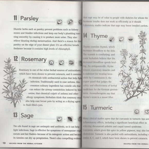 Lot of 5 Vintage Summertime Paper Back Cookbooks and Guides - Picture 10 of 16